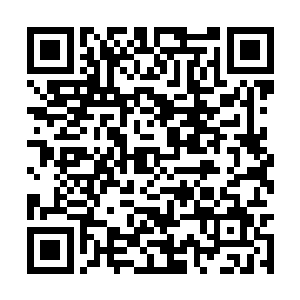 他来到我们这边开始分配给了我们一些潜水的装备二维码生成