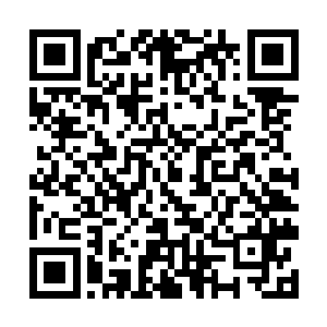 他根本不会带任何人出来――猛犸大尊甚至似乎知道二维码生成