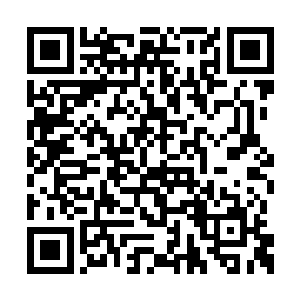 他根本不敢相信这大殿之中可以容纳下这么多人二维码生成