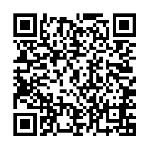 他根本不知道从什么时候开始觉得阮荷黎对他来说与别人不同了二维码生成