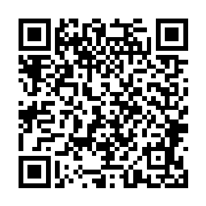 他根本不知道该如何去和这个小小的家伙拉近感情二维码生成