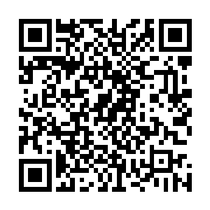 他根本没有想到他这么快就会在山洞里被魔蛇岛的人给堵住二维码生成
