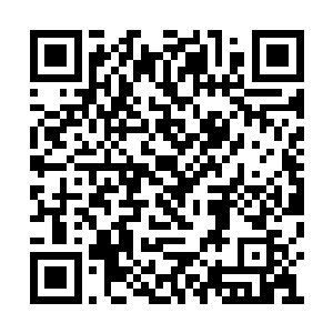 他正搂着一个新来的包厢公主在怀里逗笑的时候二维码生成