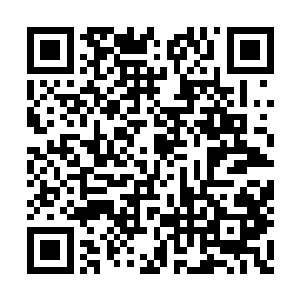 他正是中华玄学门户网的后台管理员兼技术总监二维码生成