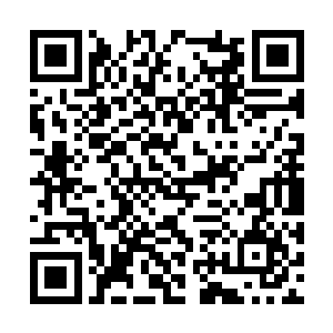 他此刻完全可以把符种骨剑作为无属性的圣器载体二维码生成