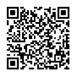 他母亲的那件道具帮助他躲过了海精灵女王的搜索二维码生成