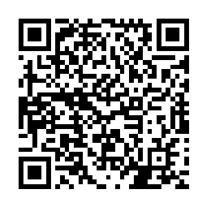 他每一拳或者每一爪都能把那些激射而来的变异蝗虫砸成肉酱二维码生成