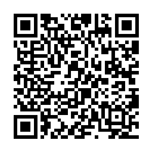他每天唯一做的事情就是以一种奇怪的姿势坐着发呆二维码生成