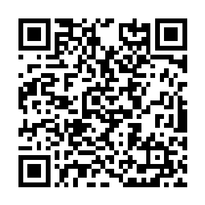 他比谁都看得清楚于思宇这些年是怎么对苏阮阮的二维码生成
