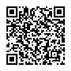 他比较在意的……是对方的神态和其他细微的反应二维码生成