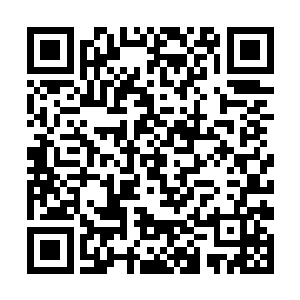 他毫不犹豫地交给了当年的太古仙界第一智囊陈复生二维码生成
