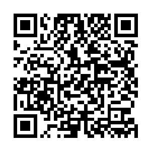 他毫无疑问是价值几百亿的庄氏医药集团至高无上的存在二维码生成