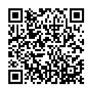 他沒想到罗伊国王竟然敢将这么重大的事情交给自己的妹妹二维码生成