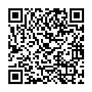 他没办法把自己在秦洛面前丢糗的事情告诉这些外人二维码生成