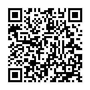 他没办法直视容锦那对纯澈得能映出他影子的眸子二维码生成