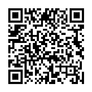 他没想到刚脱离家族的妩衣就攀上了这样两个强大的朋友二维码生成