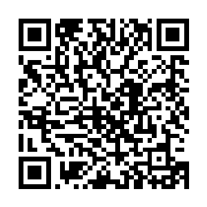 他没想到利用罗刹门钓嬴家的底牌却拖延出了另三家帮嬴家二维码生成