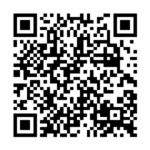 他没想到夏天的如来神掌居然可以厉害成这个样子二维码生成