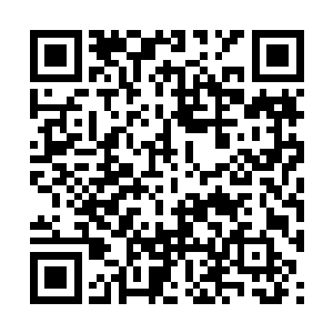 他没想到我一个普通人居然在这种场合下没有逃跑二维码生成