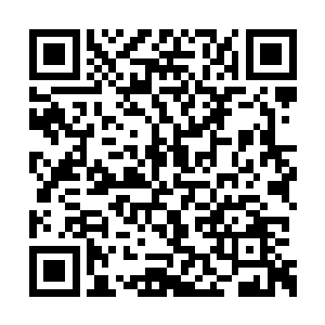 他没想到提前布置好的陷阱不但没将杨开怎么样二维码生成