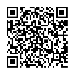 他没想到杜玉婷会带着朱丹突然出现在今天这么隆重的婚礼上二维码生成