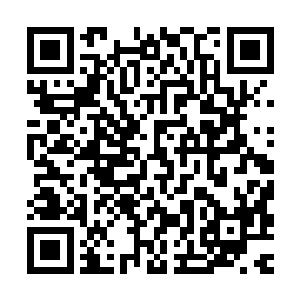 他没想到来参加这么一次拍卖会竟然还会有这么一个意外的收获二维码生成