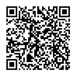 他没想到这个长相比女人还女人的小白脸竟然有着这么强大的实力二维码生成