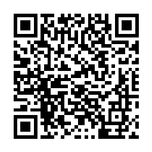 他没想到面前这个不起眼的小子居然可以接住自己的一下二维码生成