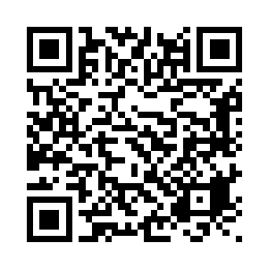 他没有发现令阴雷化石形成的根源二维码生成