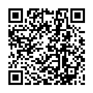 他没有多考虑就指定了这一件法宝作为蜕化模板二维码生成