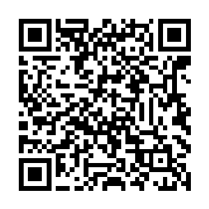 他没有想到自己不过就是随便拿了块布料包一下东西二维码生成