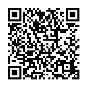 他没有想到自己开出的条件竟然没有让这两人动心二维码生成