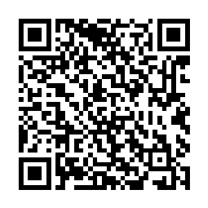 他没有想到赵虎竟然无条件的将五百万金币交给自己二维码生成