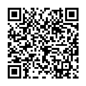 他没有想到这颗丹药竟然真的愿意要和人同归于尽二维码生成