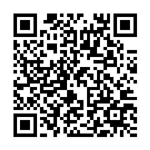 他没有趁着秦方被禁锢的这个时间点动手……似乎眼前的这一战二维码生成