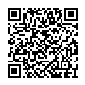 他没看到伊布拉希莫维奇有举起手臂欢呼的动作二维码生成