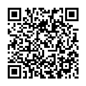 他没等黄培浩下车就已经自己打开车门坐了进去二维码生成