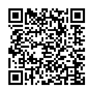 他派人把调查中所有gravity的巢穴都扫了一遍没有什么进展二维码生成