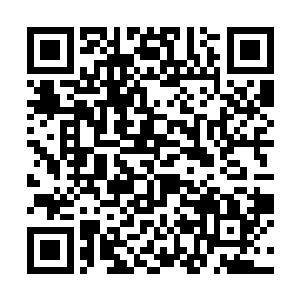他派出一万商团护卫只是为了监视第一第二常备军团二维码生成