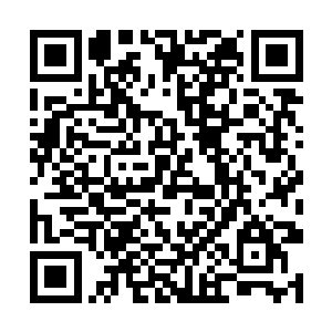 他派来跟着她的人明明说她晚上七点已经走进了酒吧二维码生成