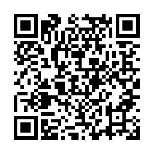 他浑身上下的要害就都暴露在马文的眼皮子底下了二维码生成