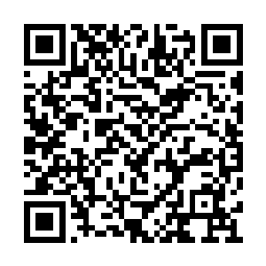 他深沉凝视着正在不断绽放着绚烂魔法的特蕾莎二维码生成