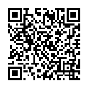 他深知自己一定要在2014年之前赚到足够足够多的钱二维码生成