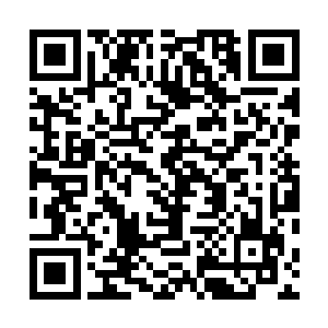 他潜伏于暗处保护着我奶奶以期我奶奶能平安生下鬼魅王二维码生成