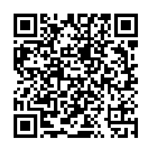 他激发的金色符号会随着神识的驱动短时间内追及目标二维码生成