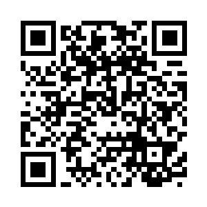 他热烈的反应也带动了加里布埃拉二维码生成