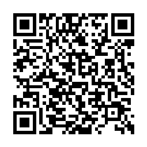 他熟练地将九尾灵狐的血缓缓注入小凤儿的手腕二维码生成