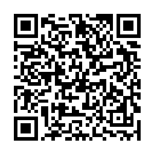 他爪子上的指头几乎被龙傲天一剑给生生切割下来了二维码生成