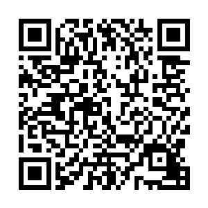 他爬出来的地方又是从树林里延伸出来的一个浅浅的沟渠二维码生成