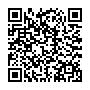 他爸妈最近一直以作为高中生要好好学习不要出去玩的理由二维码生成